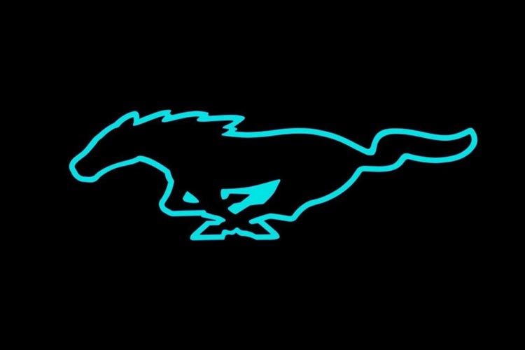 Ford Responds to Tesla Model Y With Cryptic Mustang Tweet